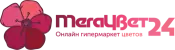 Мегацвет24